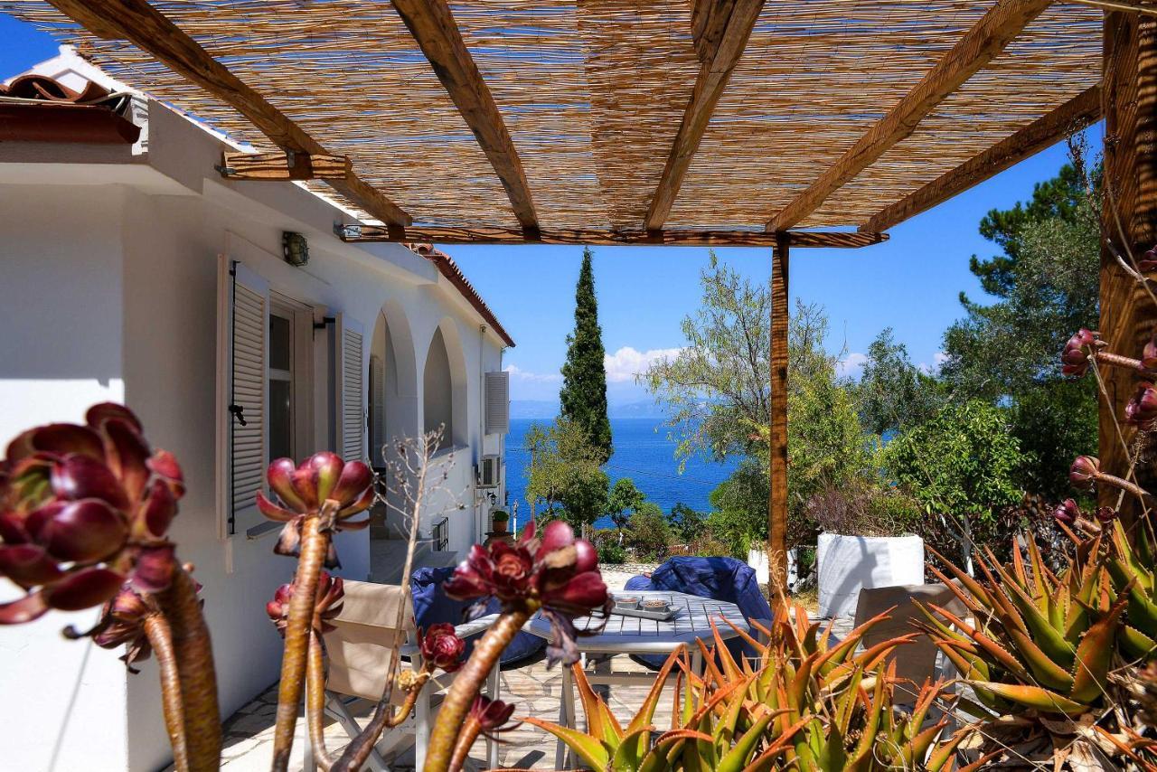New! Paxoswhite Sea View Apartments & Studios! Gaios Eksteriør billede